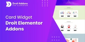 Droit Elementor Addons Pro WordPress Plugin