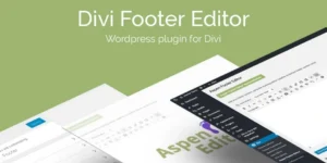 Divi Footer Editor WordPress Plugin
