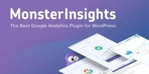 MonsterInsights Pro (Core) WordPress Plugin