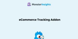 MonsterInsights eCommerce Tracking Addon WordPress Plugin