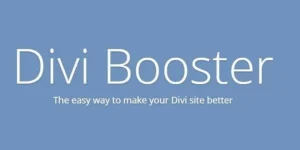 Divi Booster WordPress Plugin